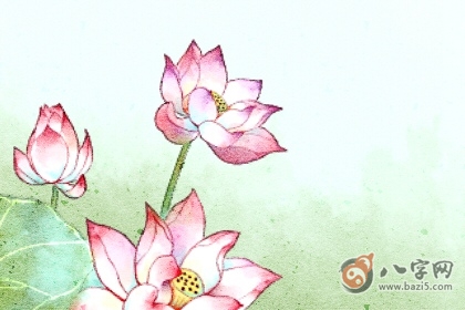 年柱查询1979年是什么年 八字网