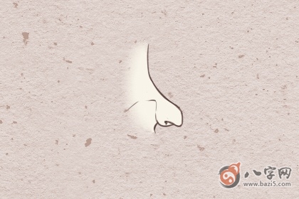 有龙鼻的人一生运势如何