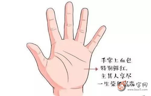 大拇指有双箕纹的命详解