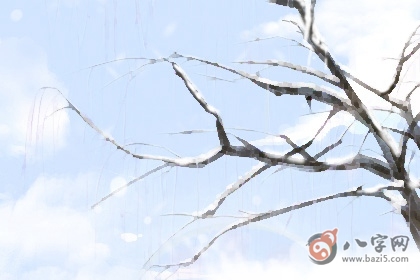 卯戌合会互相喜欢吗 有何说法