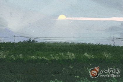 井字纹