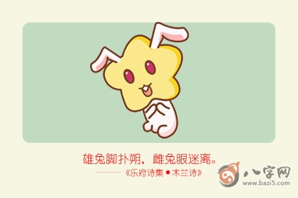 兔