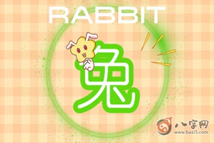 兔