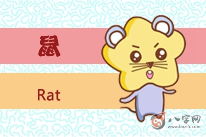 鼠