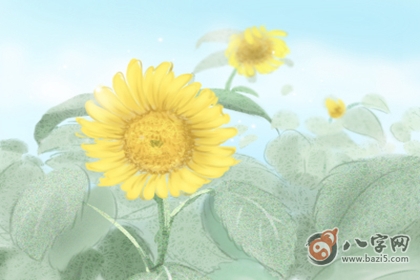 桃花眼
