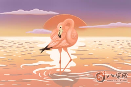 姓名解析