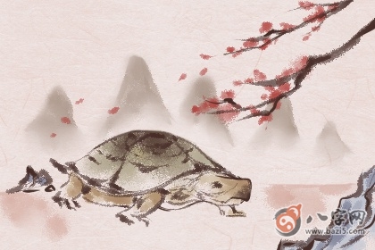 夫妻宫