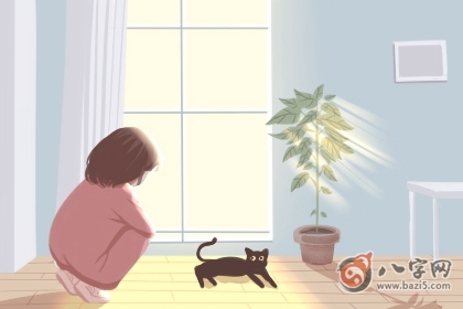 鼠宝宝取名