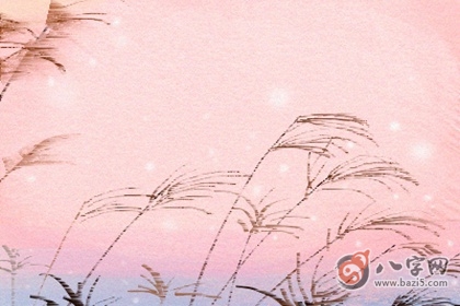鼠宝宝取名