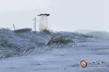 三白眼