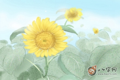 五行八字查询 年10月日出生的人是什么命 八字网 五行八字查询 年10月日出生的人是什么命 八字网