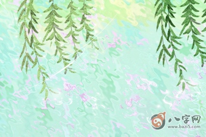 宝宝取名
