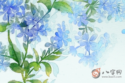 植物2