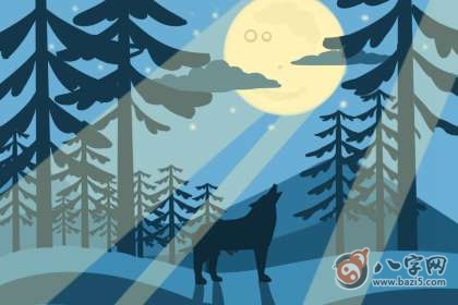 今天冲煞属相 2020年10月8日生肖相冲查询