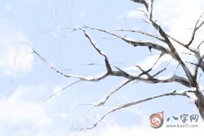 今天是什么日子 2020年11月7日立冬 黄历忌宜与吉凶