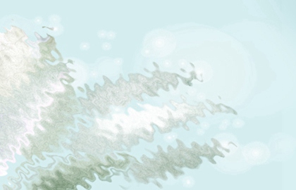 今日喜神方向 年11月19日什么方位可趋吉避凶 八字网