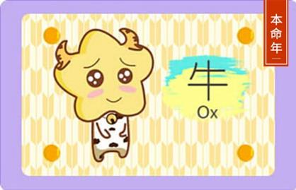 2_牛 (11)