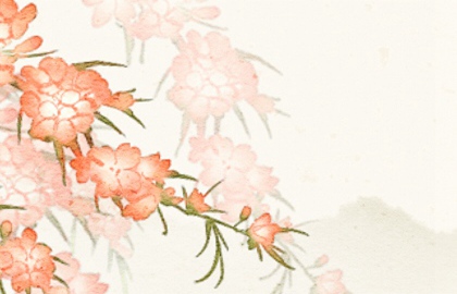 植物 (2)