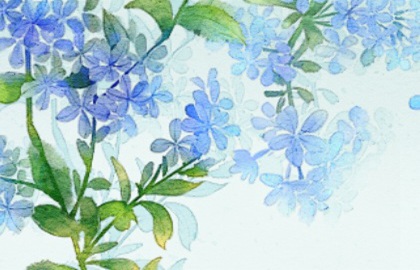 植物2