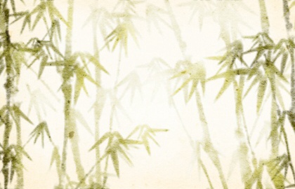 植物5