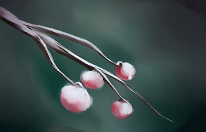 大雪节气5-无字