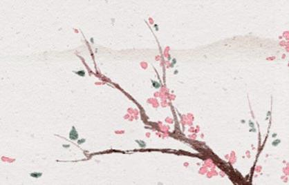 属牛人月份