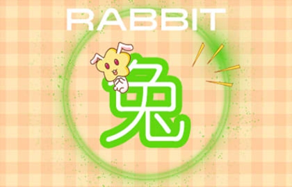 兔 (11)