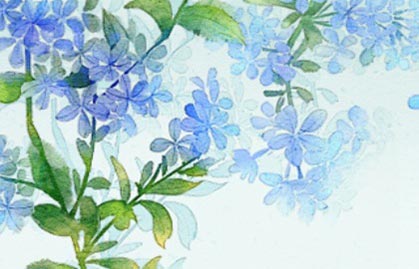 植物2