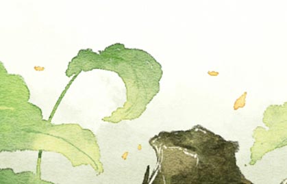 植物8