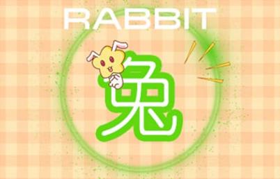 18_兔 (11)