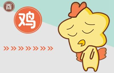 17_鸡 (3)