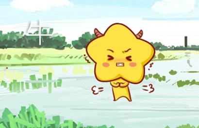 辛丑年为水旺年 
