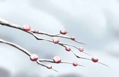 腊月十二日是什么日子 