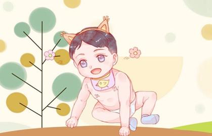 二月二出生的人命相