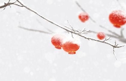 2021年2月6号是农历多少