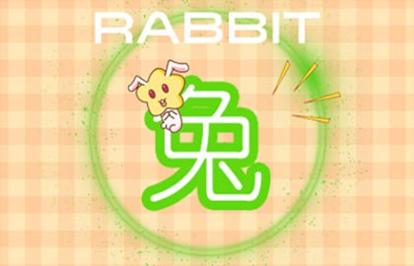 2021年狗和兔结婚感情好吗