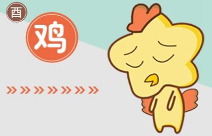2021年猪和鸡结婚怎么样