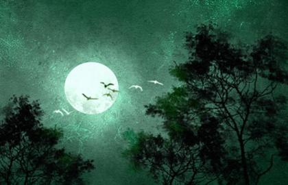 21年2月25号正月十四是黄道吉日吗运势一般不是吉日 八字网