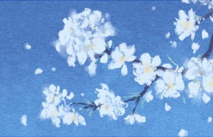 0_花枝5