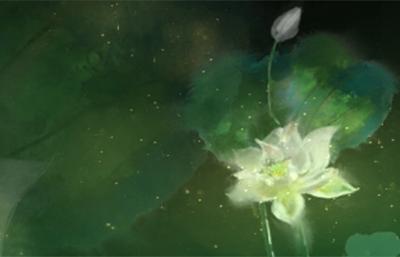 20_荷花
