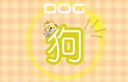 2006年15岁的属狗人