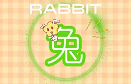 2_兔 (11)
