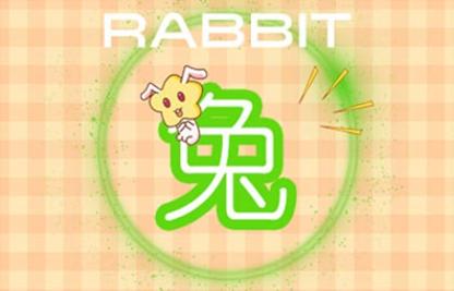 4_兔 (11)