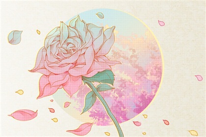 rose（无字）
