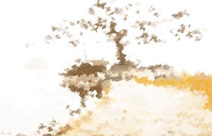 今天喜神方位:2021年10月2日宜向什么方向