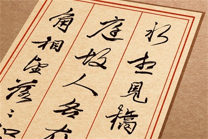 取名13