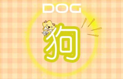 属羊的和属狗的2021年婚姻