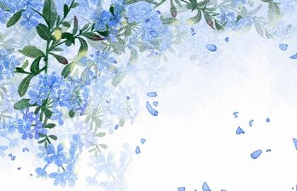 清明节扫墓有什么讲究忌讳