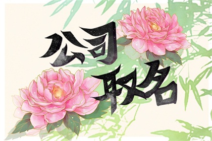 适合公司起名的寓意字