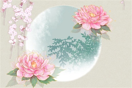 成立公司名字怎么取